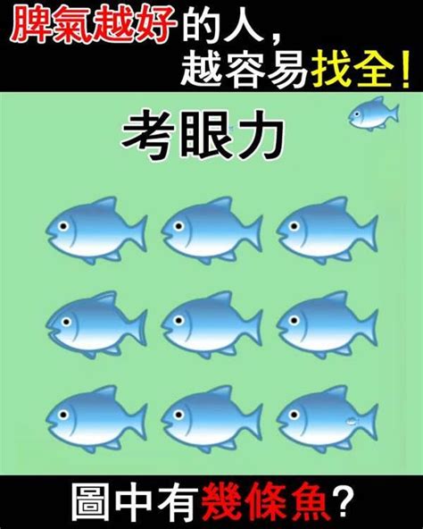 圖中有幾條魚